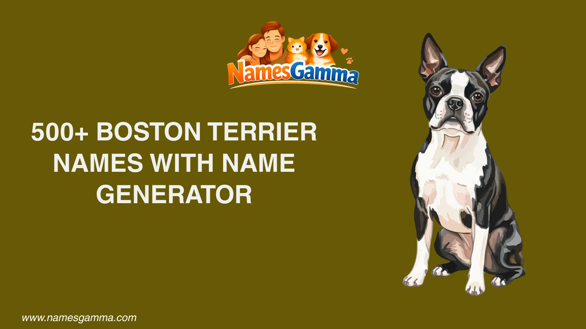 Boston Terrier Names