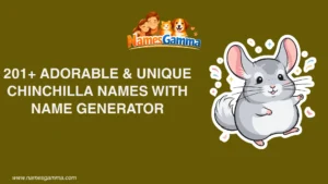 Chinchilla Names With Name Generator
