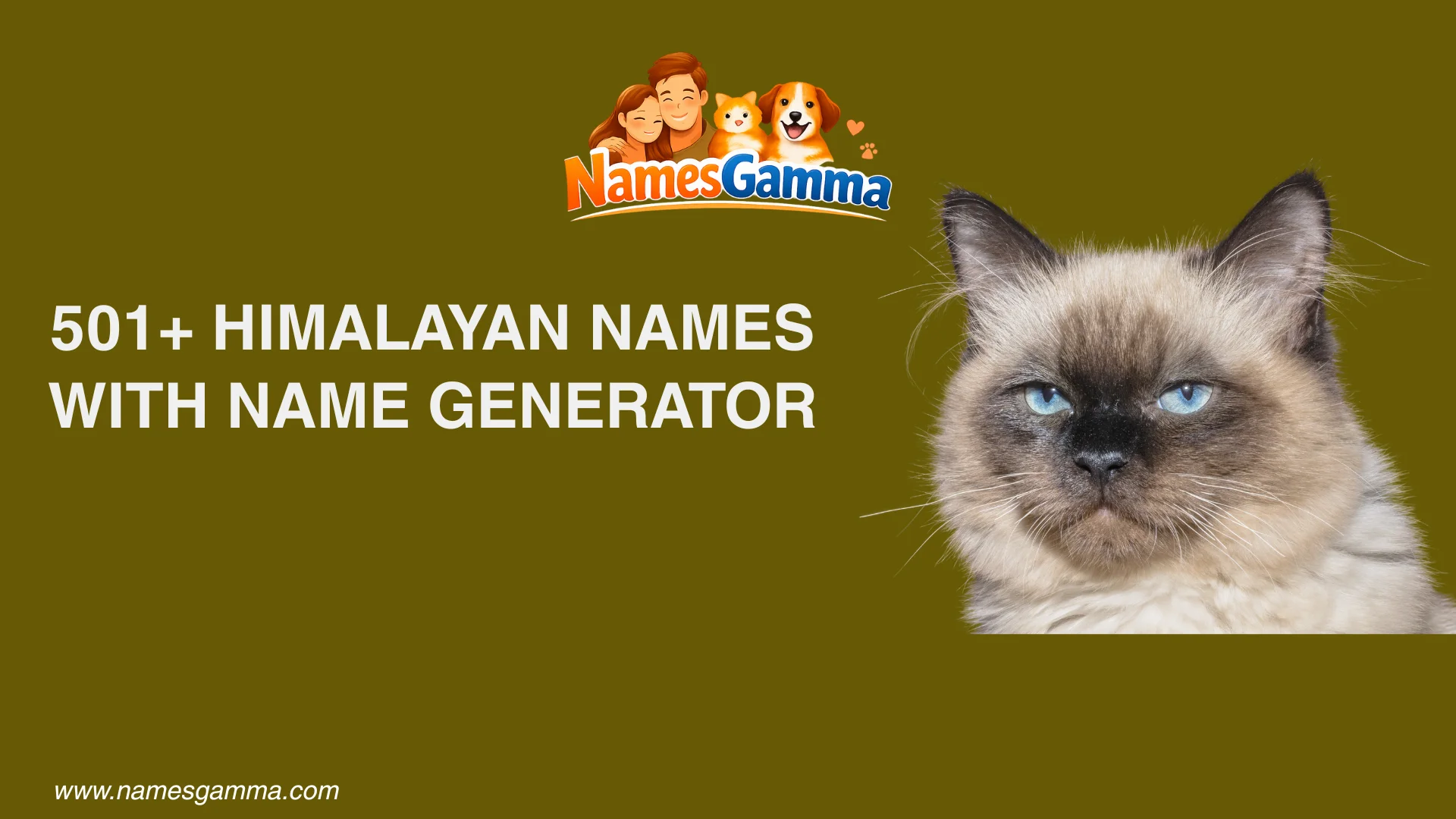 Himalayan Cat Names