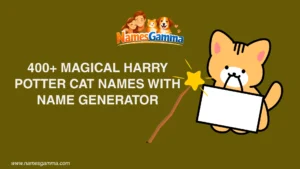 Harry Potter Cat Names